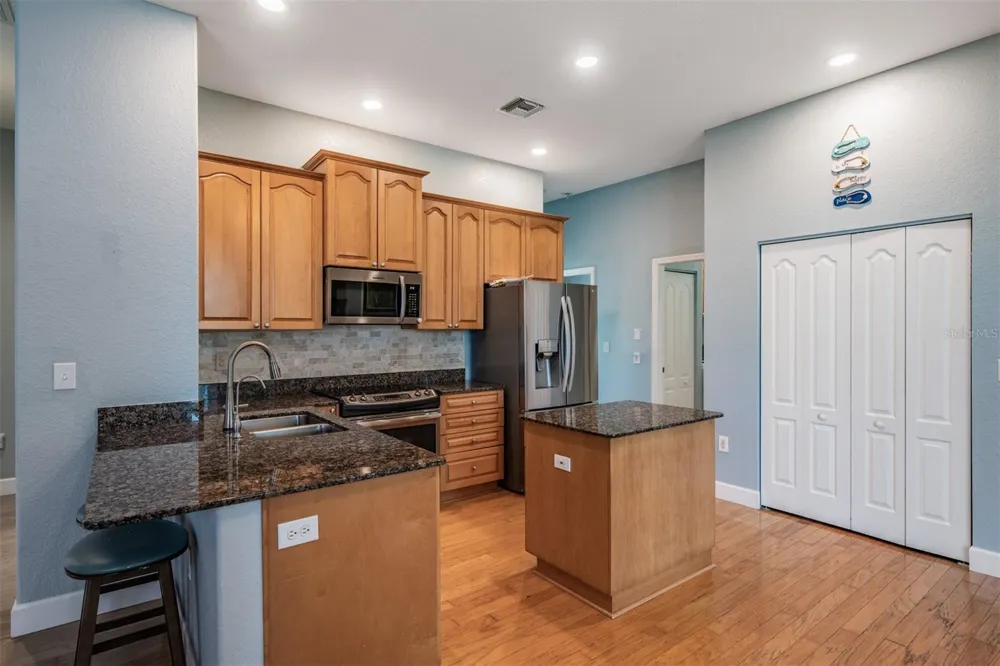 2008 POINTE ALEXIS DRIVE Tarpon Springs, FL 34689