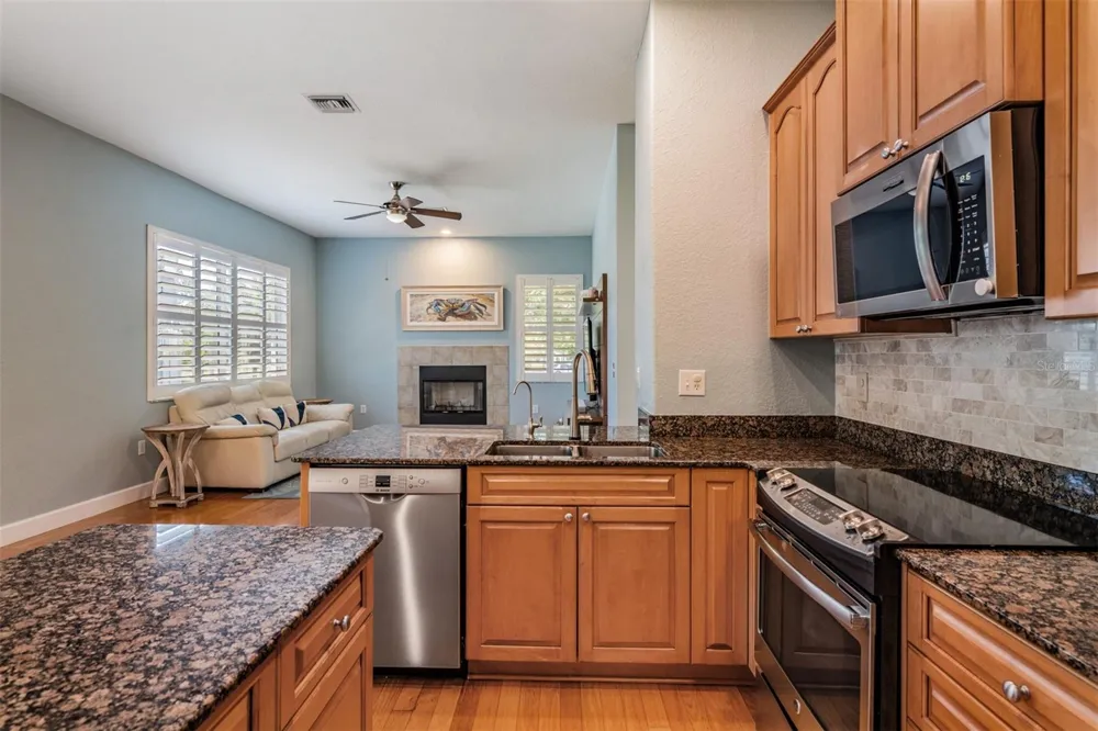 2008 POINTE ALEXIS DRIVE Tarpon Springs, FL 34689