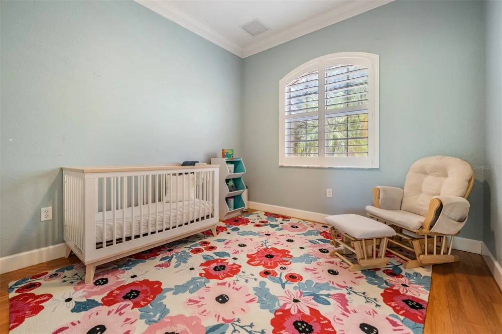 2008 POINTE ALEXIS DRIVE Tarpon Springs, FL 34689