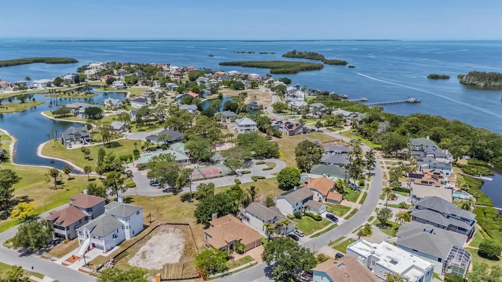 2008 POINTE ALEXIS DRIVE Tarpon Springs, FL 34689