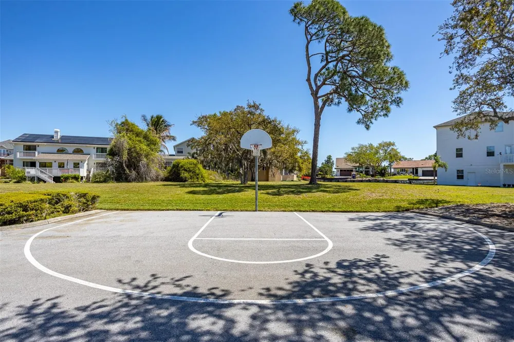 2008 POINTE ALEXIS DRIVE Tarpon Springs, FL 34689