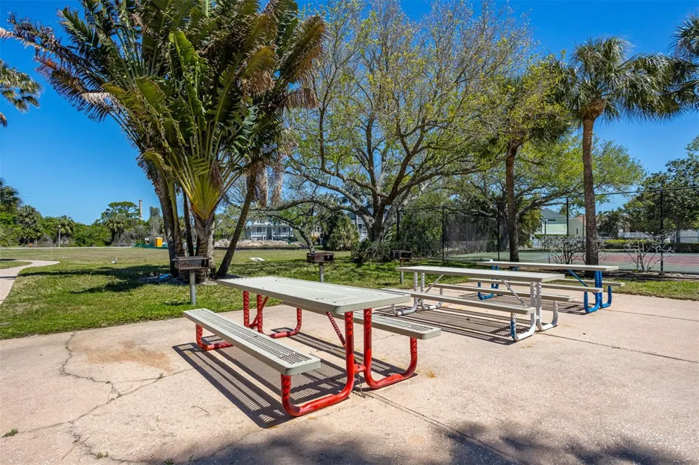 2008 POINTE ALEXIS DRIVE Tarpon Springs, FL 34689