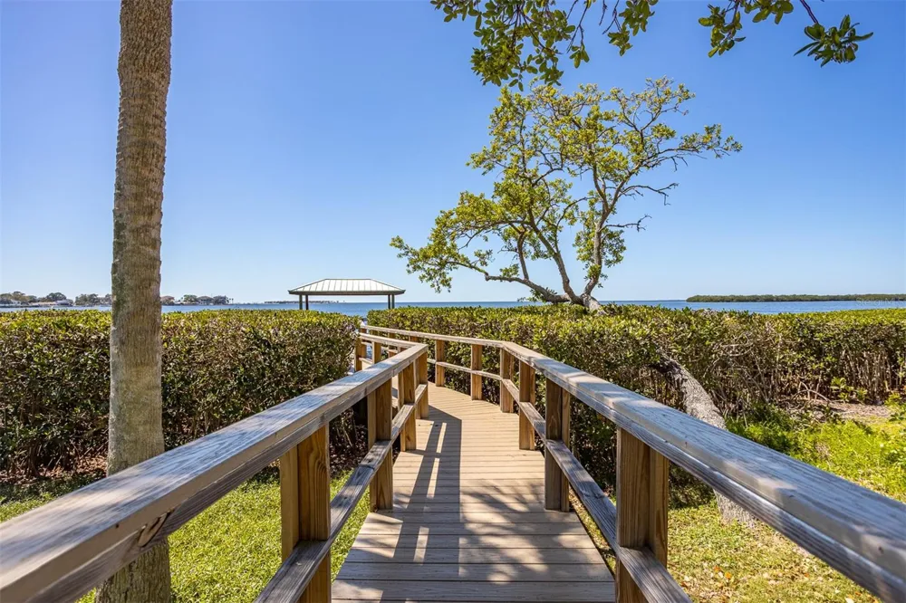 2008 POINTE ALEXIS DRIVE Tarpon Springs, FL 34689