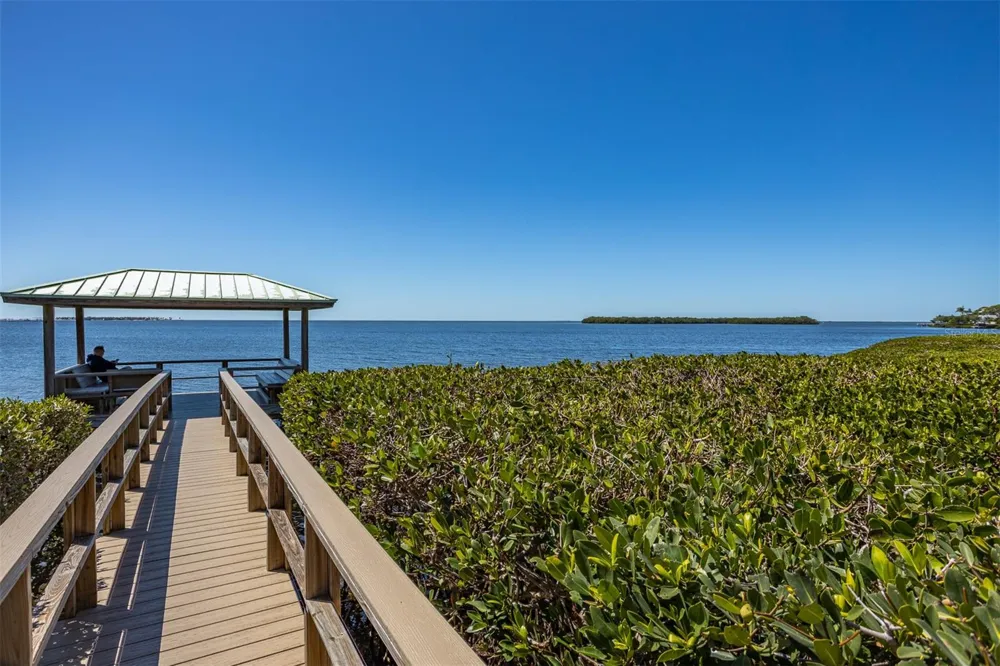 2008 POINTE ALEXIS DRIVE Tarpon Springs, FL 34689