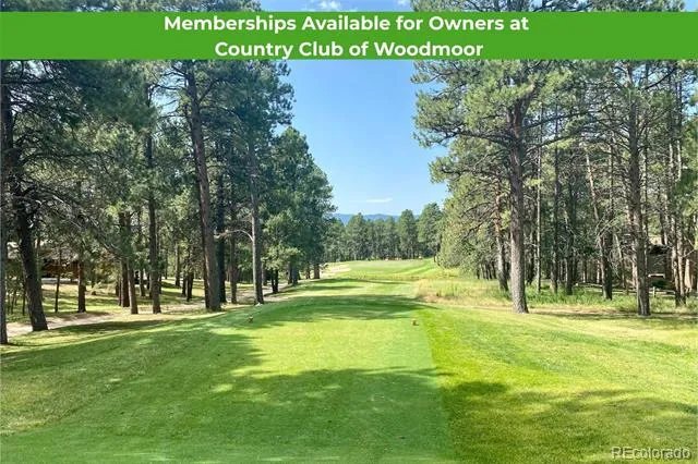 425 Tam O Shanter Way Monument, CO 80132