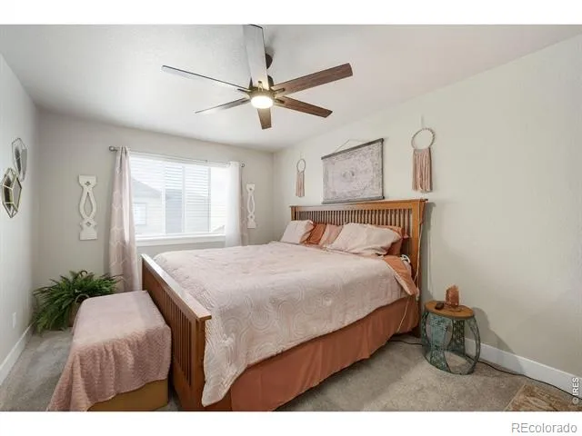 4135 Crittenton Lane #3 Wellington, CO 80549
