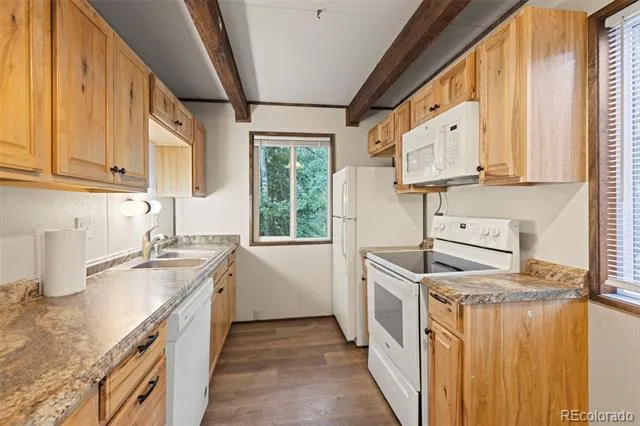 35 Ore Court Fairplay, CO 80420