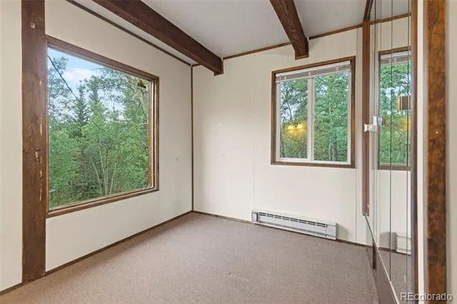 35 Ore Court Fairplay, CO 80420