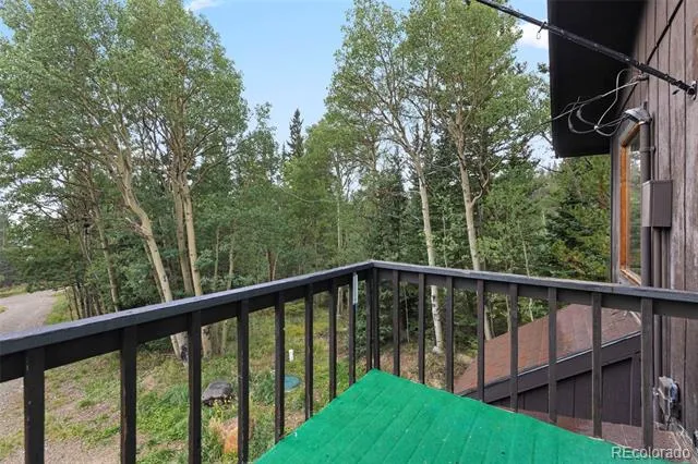 35 Ore Court Fairplay, CO 80420