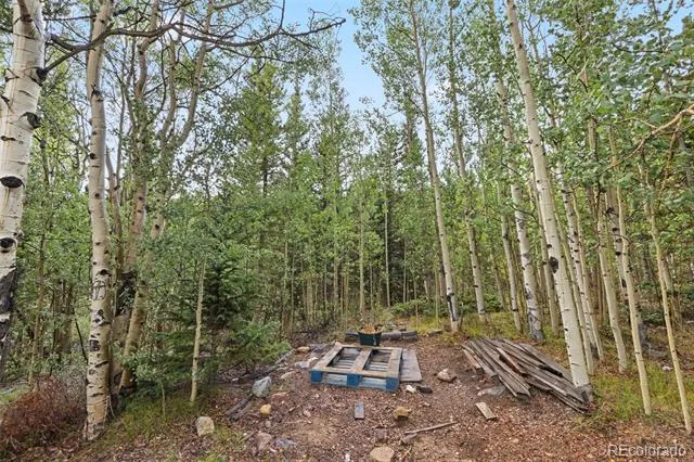 35 Ore Court Fairplay, CO 80420