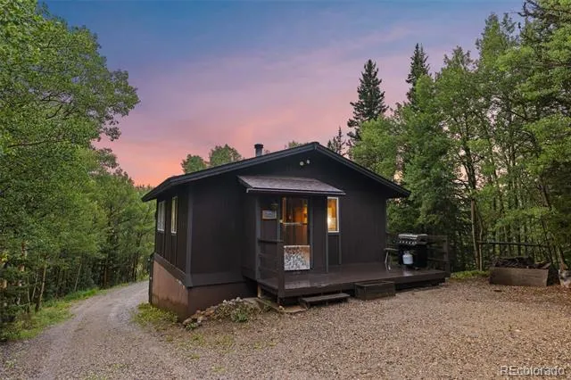 35 Ore Court Fairplay, CO 80420