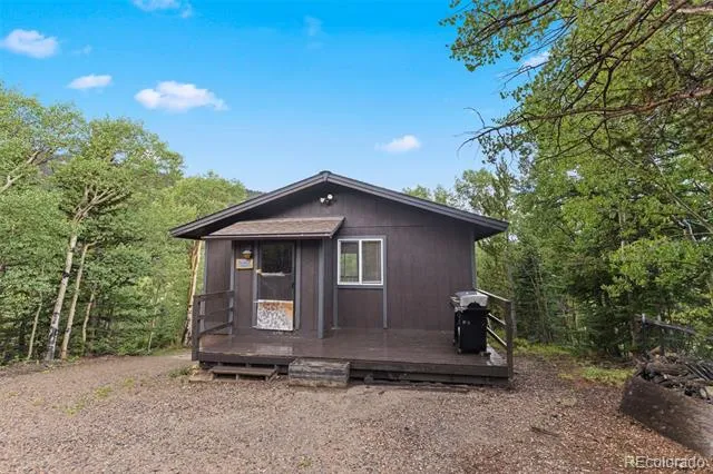 35 Ore Court Fairplay, CO 80420