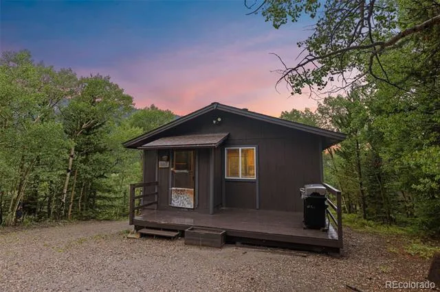 35 Ore Court Fairplay, CO 80420