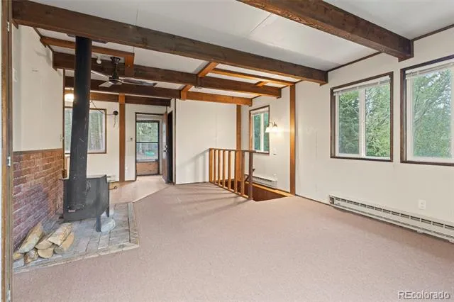 35 Ore Court Fairplay, CO 80420