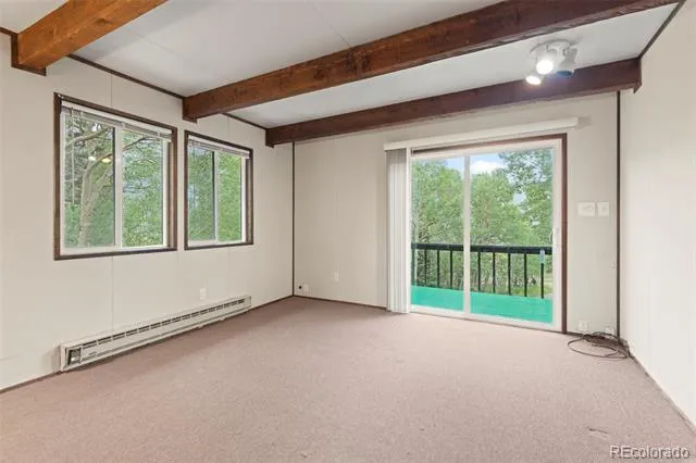 35 Ore Court Fairplay, CO 80420