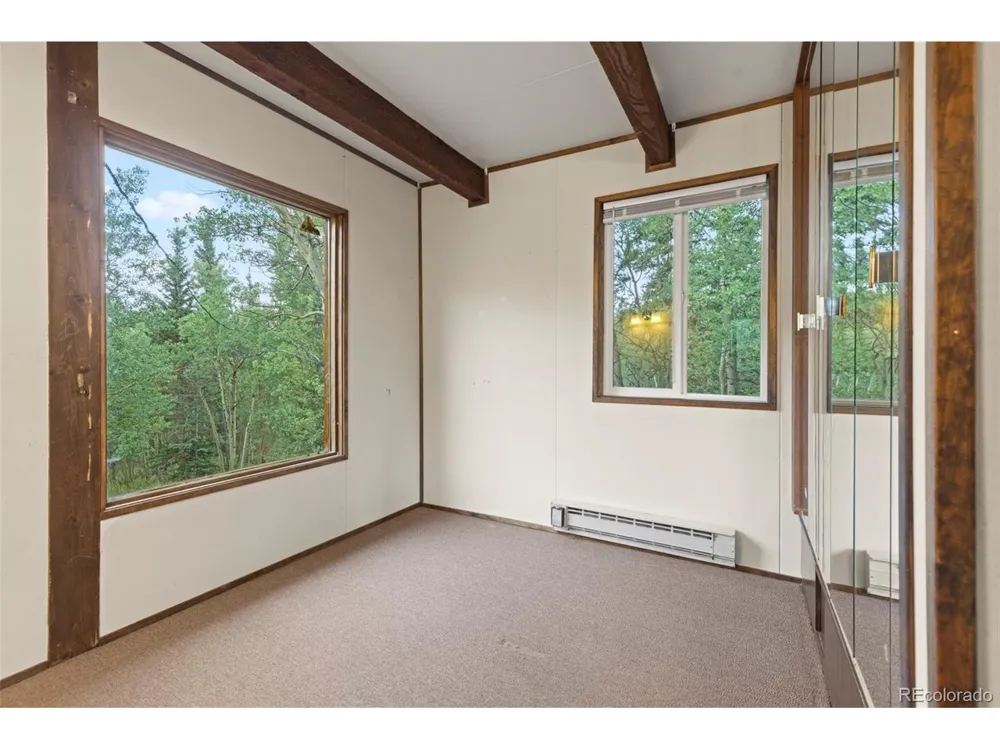 35 Ore Court Fairplay, CO 80420