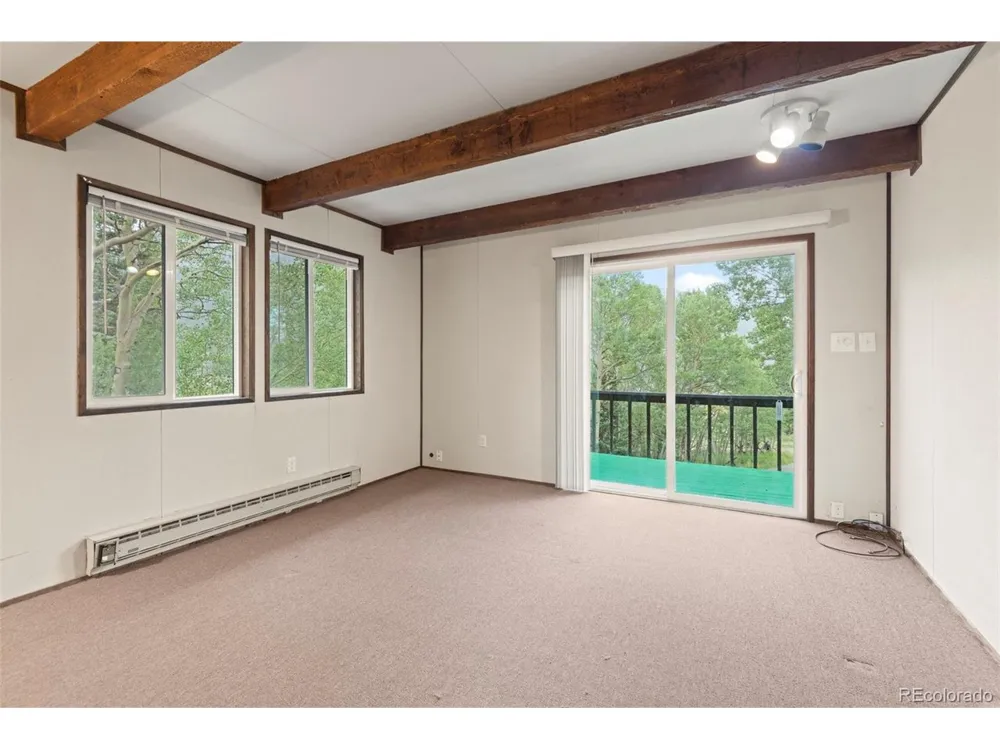 35 Ore Court Fairplay, CO 80420