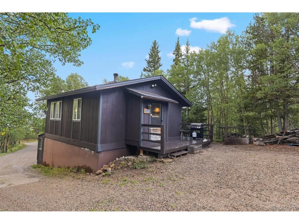 35 Ore Court Fairplay, CO 80420