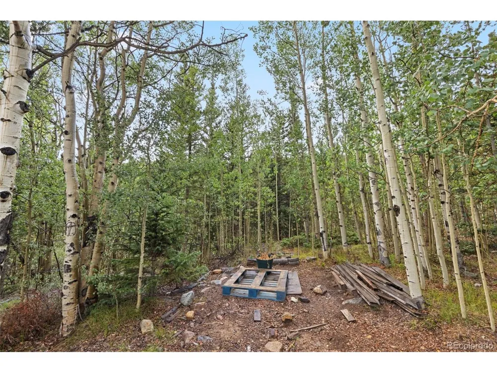 35 Ore Court Fairplay, CO 80420