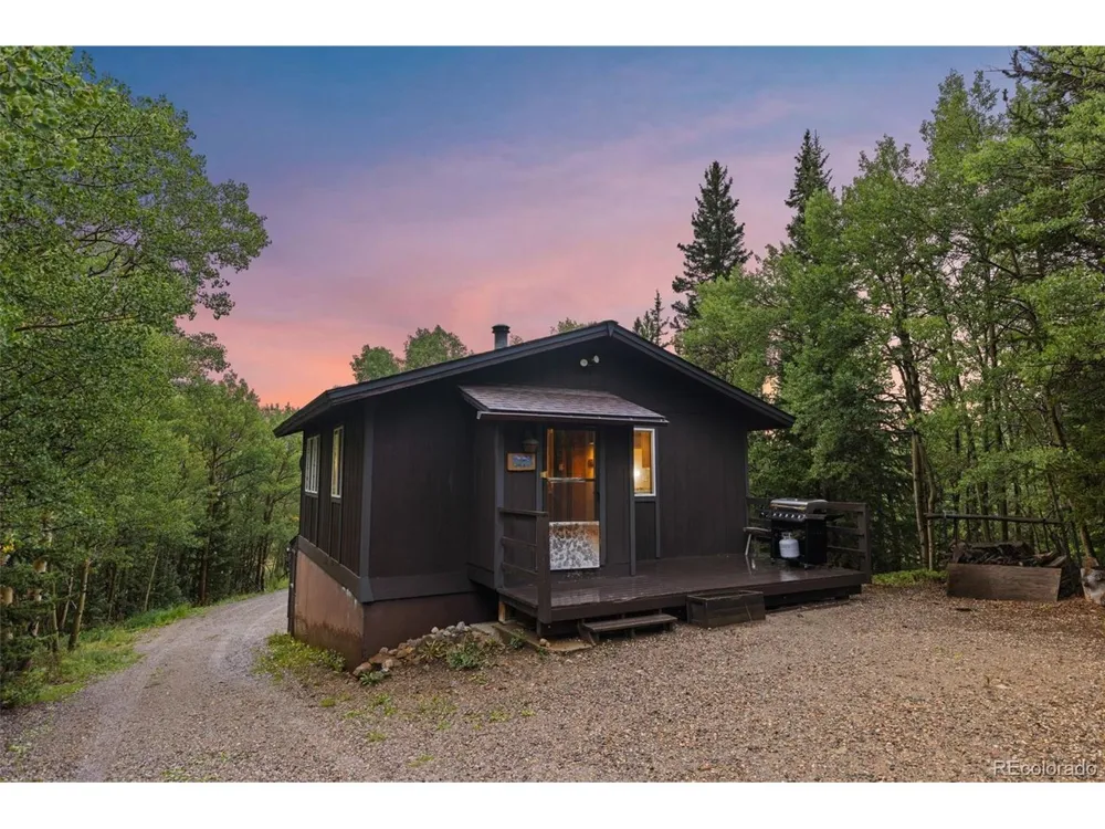 35 Ore Court Fairplay, CO 80420