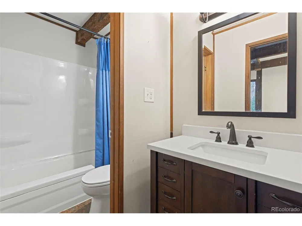35 Ore Court Fairplay, CO 80420
