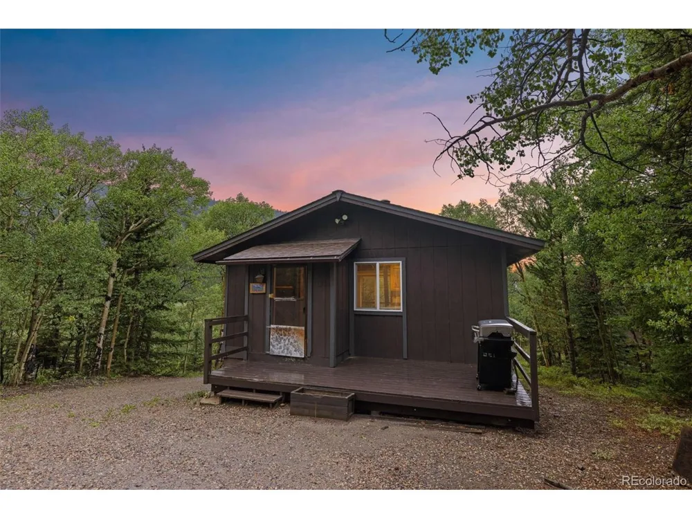 35 Ore Court Fairplay, CO 80420
