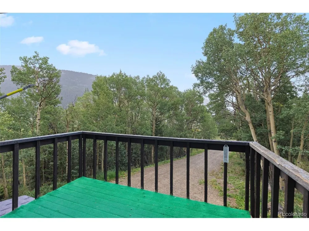 35 Ore Court Fairplay, CO 80420