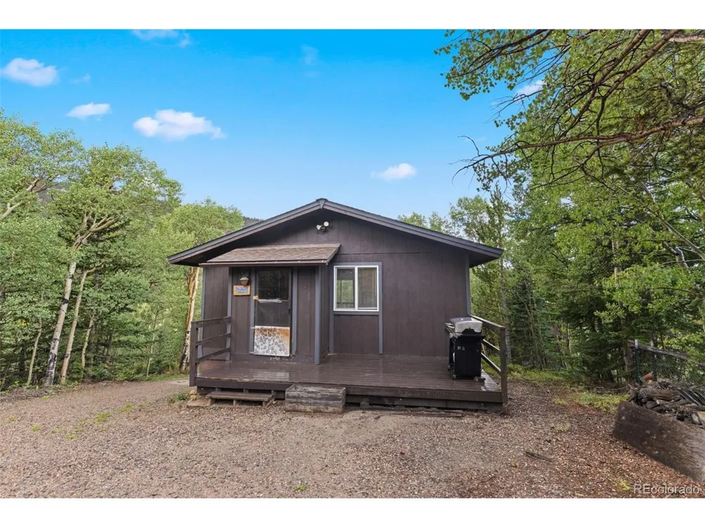 35 Ore Court Fairplay, CO 80420