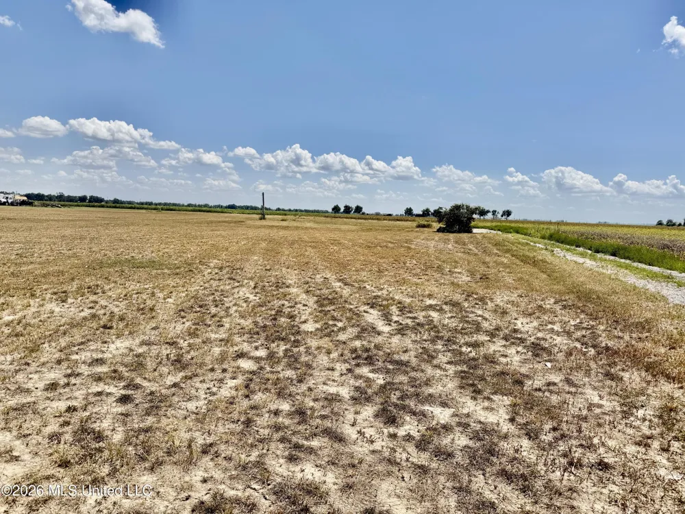 Highway 8 Cleveland, MS 38732