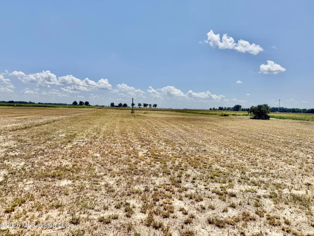 Highway 8 Cleveland, MS 38732