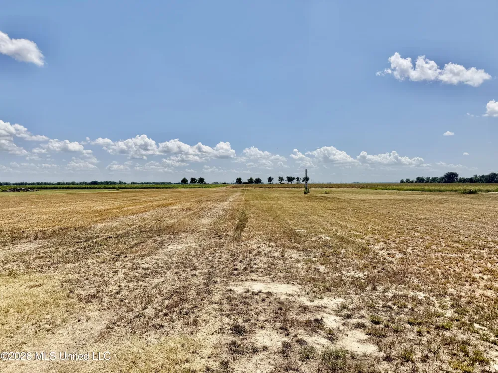 Highway 8 Cleveland, MS 38732