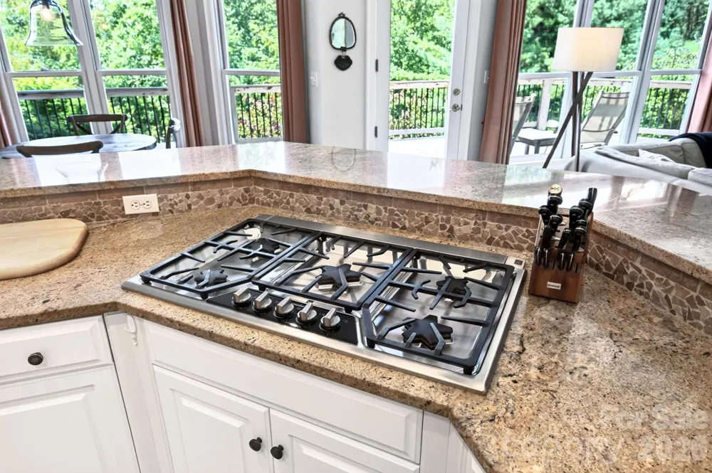 10 Blackberry Lane Asheville, NC 28804