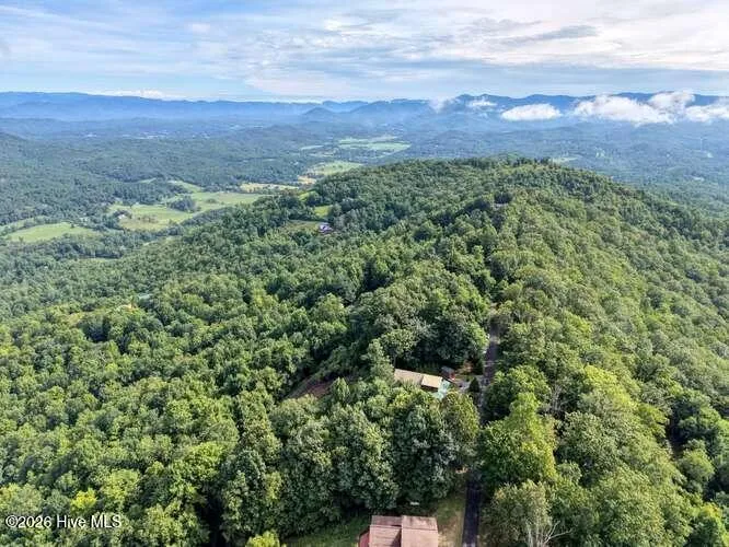 81 Grant Drive Brasstown, NC 28902
