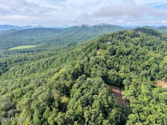 81 Grant Drive Brasstown, NC 28902