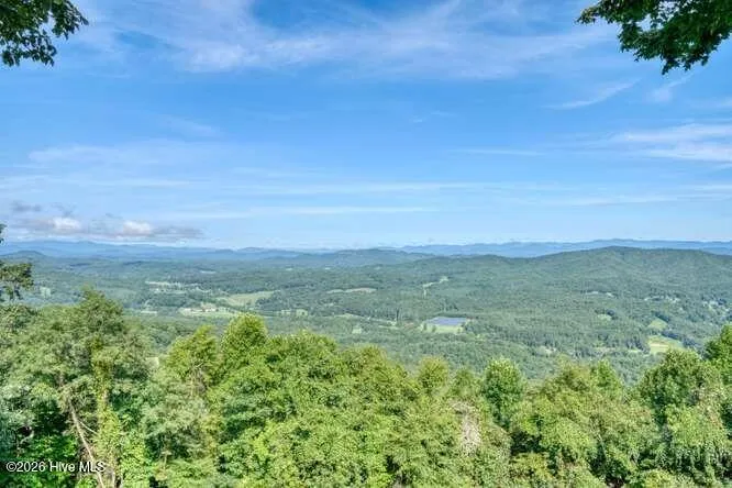 81 Grant Drive Brasstown, NC 28902