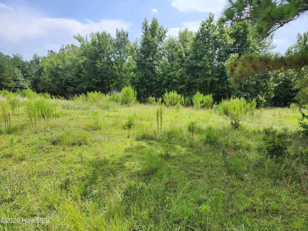 306 Howards Landing Road Hampstead, NC 28443