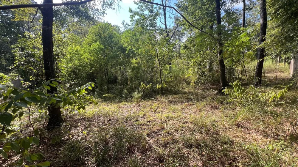 1112 Columbia River Rd Conroe, TX 77316