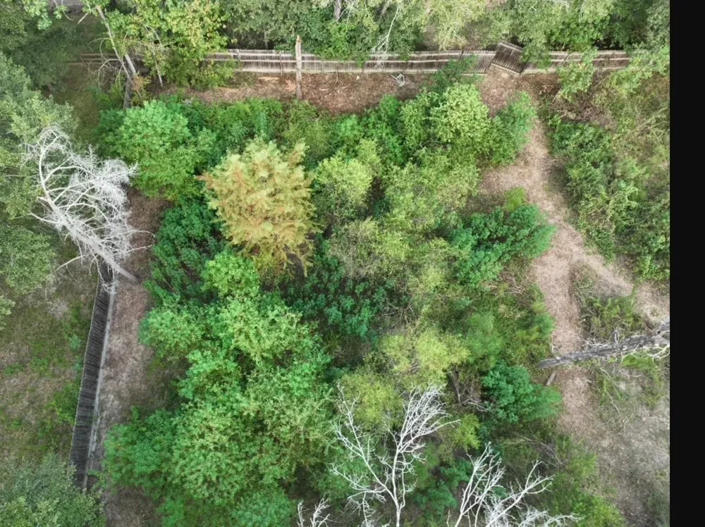 1112 Columbia River Rd Conroe, TX 77316