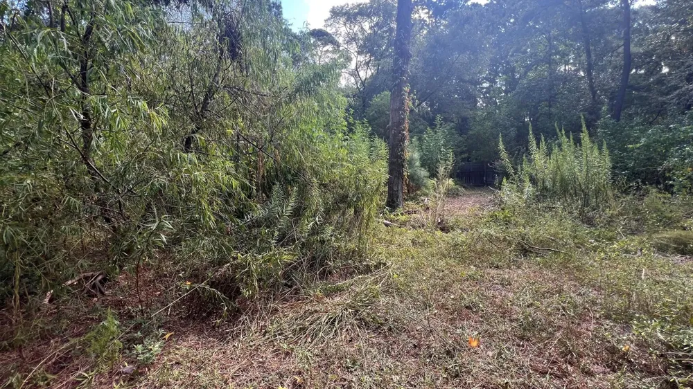 1112 Columbia River Rd Conroe, TX 77316
