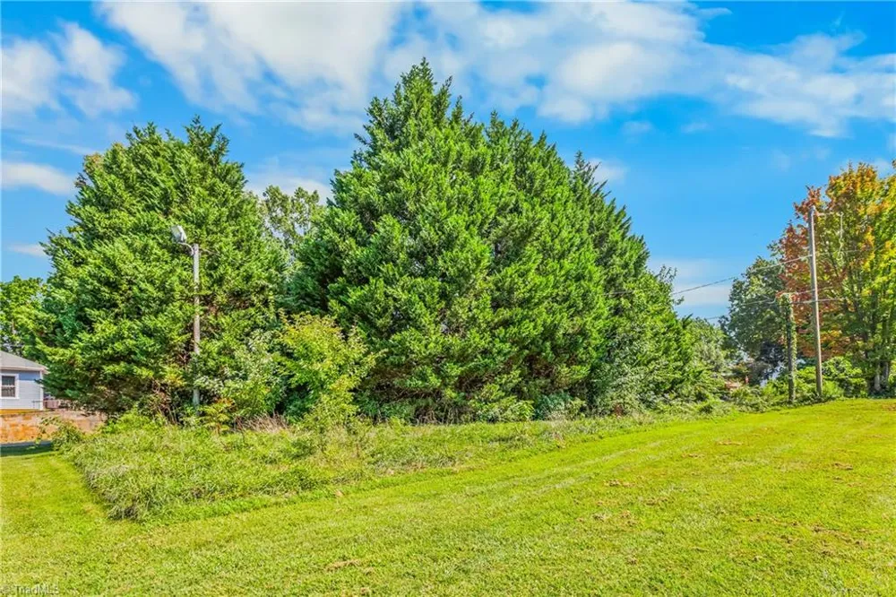0 Cleveland Avenue Winston-Salem, NC 27105