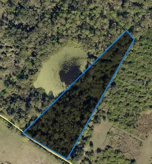 17330 SORONA ROAD Wimauma, FL 33598