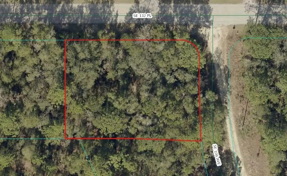 00 SE 132ND PLACE Ocklawaha, FL 32179
