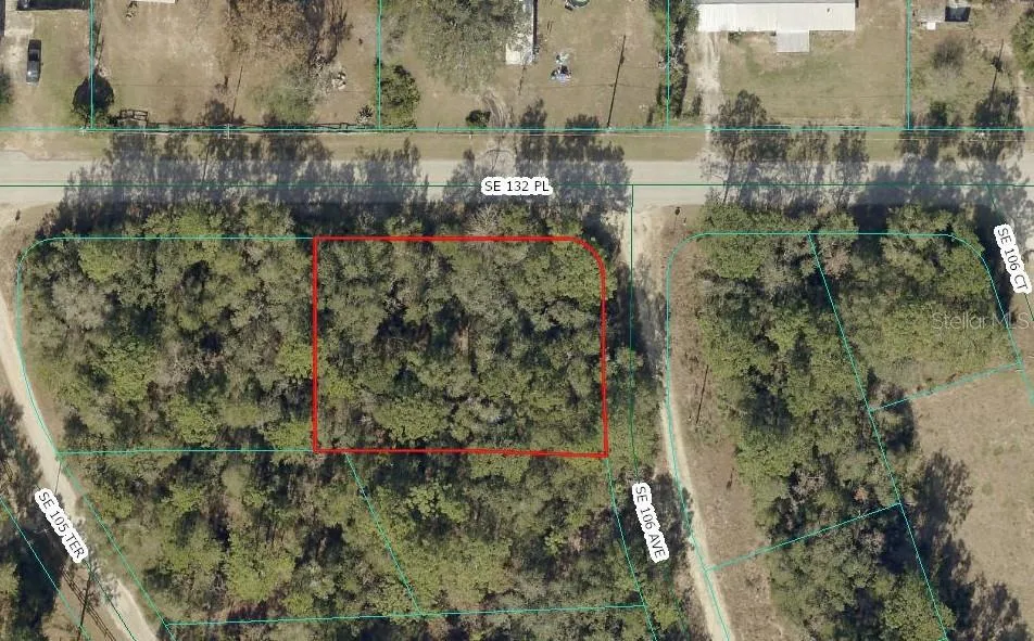 00 SE 132ND PLACE Ocklawaha, FL 32179