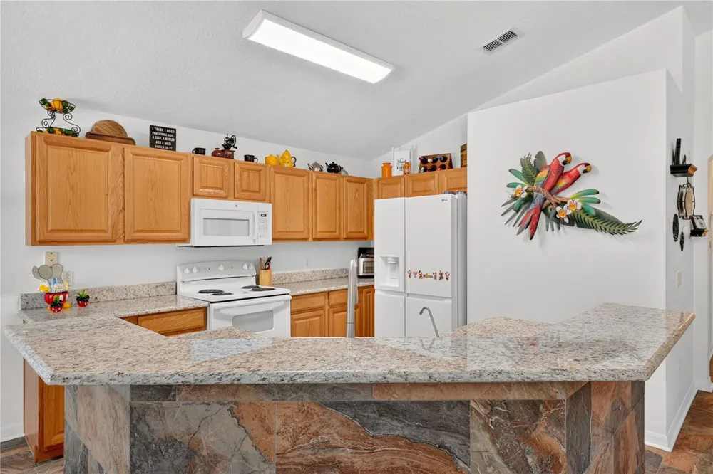 358 LANCASTER DR Davenport, FL 33897