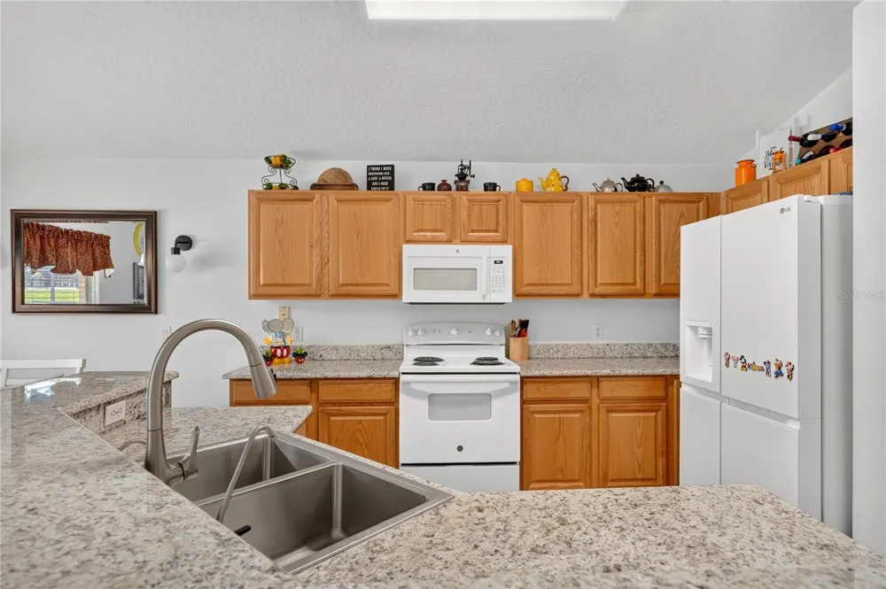 358 LANCASTER DR Davenport, FL 33897