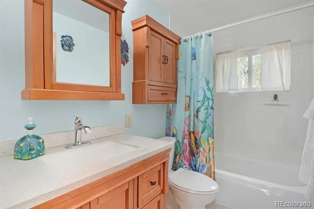16 Mesa Court Bailey, CO 80421