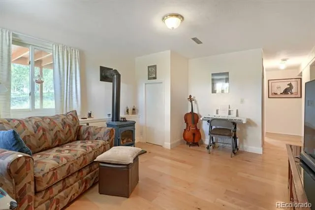 16 Mesa Court Bailey, CO 80421