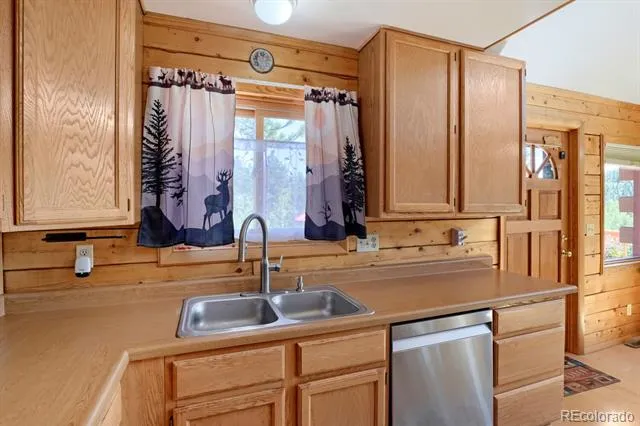 16 Mesa Court Bailey, CO 80421