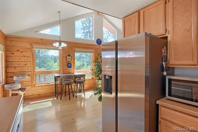 16 Mesa Court Bailey, CO 80421