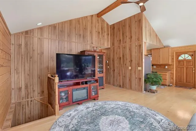 16 Mesa Court Bailey, CO 80421